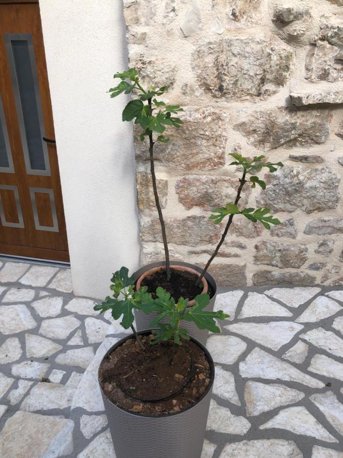 Old Town Apartment Tonka Χβαρ Εξωτερικό φωτογραφία